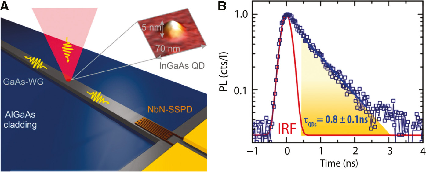 Figure 10: Integrated characterization of QD single photon emitters.(A) Schematic of the on-chip structure consisting of a 2-mm-long GaAs ridge waveguide containing a single layer of InGaAs QDs. The QDs are excited by a free-space pulsed laser diode, and their emission coupled to the waveguide and propagated to the NbN detector. The inset reports an AFM scan of the QD. (B) Photoluminescence signal detected by the SNSPD. Units are in counts per detected laser photon (cts/l). In the absence of the quantum dot (red curve), the instrument response function (IRS) of the excitation laser is recorded. In the presence of the QDs (blue data points), an asymmetric behavior is observed. By subtracting the IRF, the QD emission lifetime can be determined. The yellow-shaded area indicates the integration window in which the QD lifetime has been extracted. Figure adapted with permission from [166] © American Chemical Society.