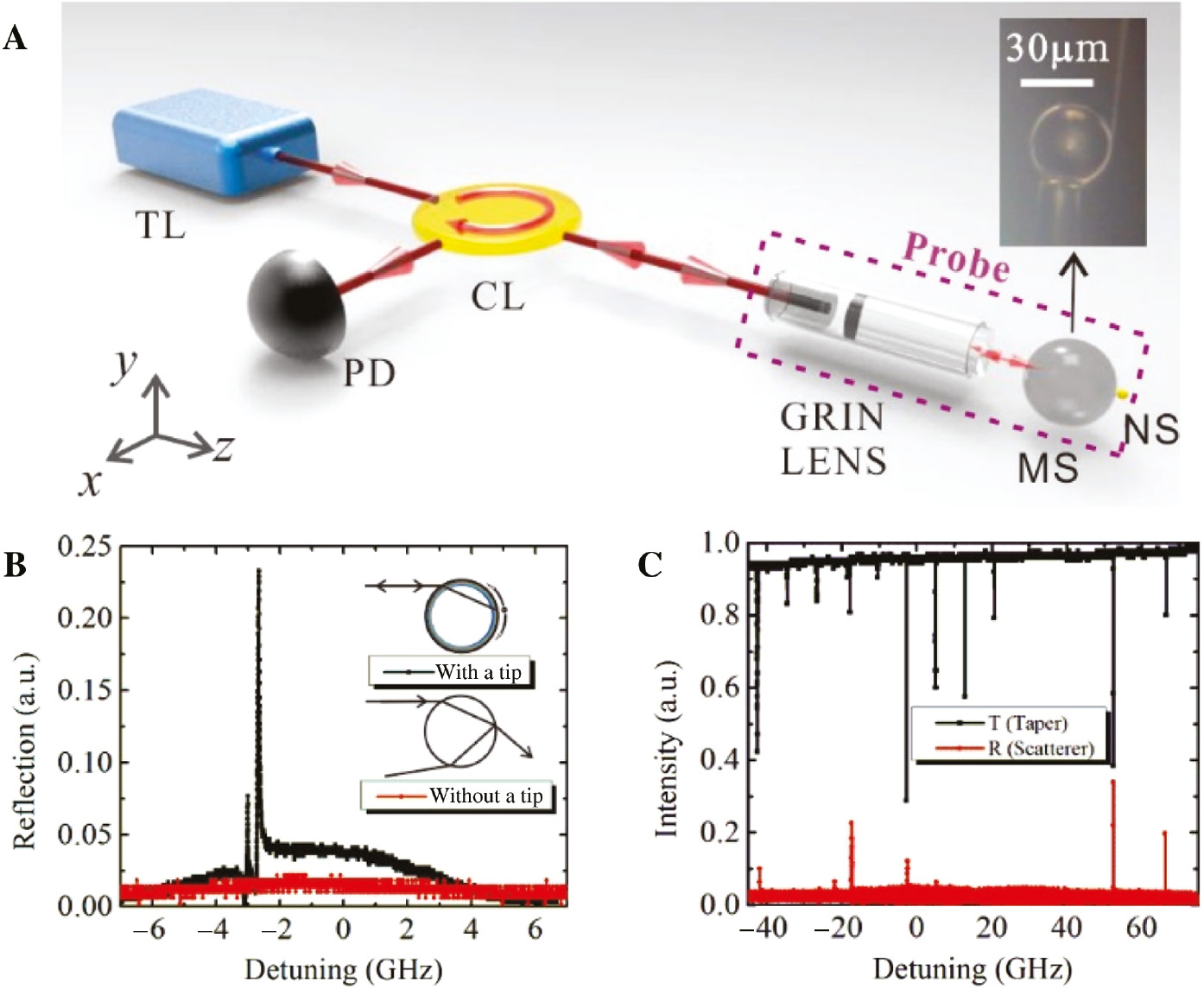 Figure 1: (A) Illustration of the experimental setup.TL, tunable laser; PD, photo-detector; CL, circulator; GRIN LENS, graded-index lens; MS, microsphere; NS, nano-scatterer. Inset: optical image of a microsphere approached by a fiber nanotip in the experiment. (B) Reflection spectra with (black) and without (red) a nanotip. (C) Optical spectra of a microsphere resonator with the scatterer-assisted coupling (red) and the fiber taper coupling (black).