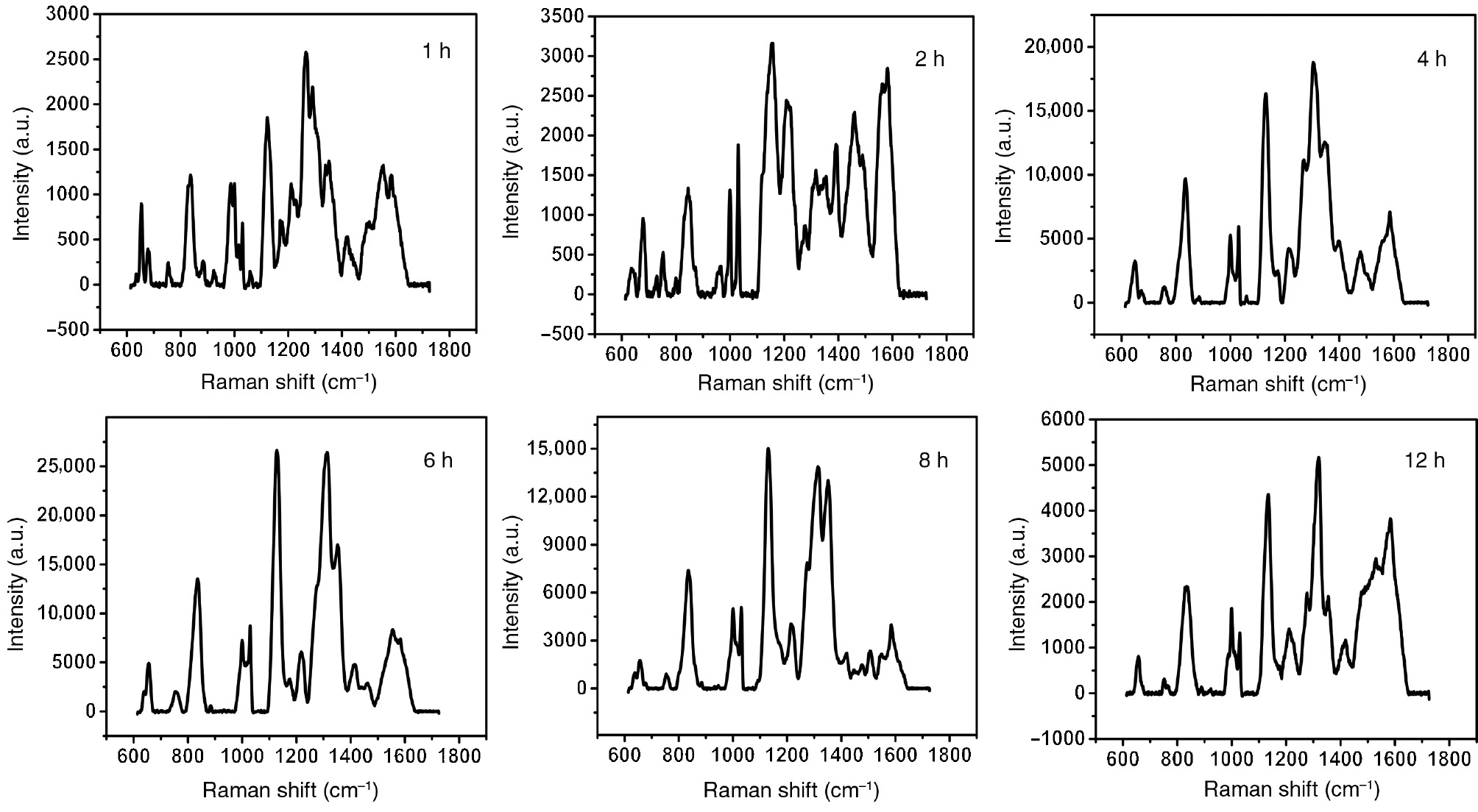 Figure 3: Average SERS spectra of HepG2 cells incubated with BP-Au NSs for 1, 2, 4, 6, 8 and 12 h, respectively.