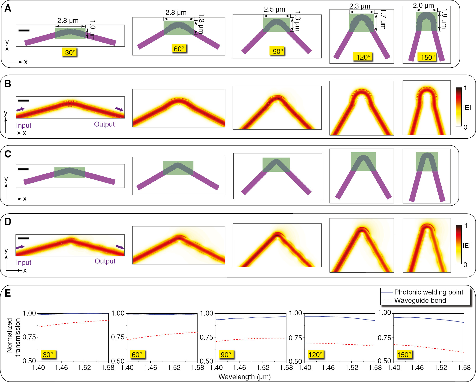 Figure 2: Designs and simulation results of the photonic welding points and waveguide bends.(A) Optimized structures of photonic welding points connecting two waveguides with bending angles of 30°, 60°, 90°, 120°, and 150°. (B) Simulated electric field profiles of the TE0 mode at 1.55 μm transmitting through the photonic welding points. (C) Schematic of waveguide bends connecting two waveguides with bending angles of 30°, 60°, 90°, 120°, and 150°. The inner radius of all waveguide bends is 0.15 μm. (D) Simulated electric field profiles of the TE0 mode at 1.55 μm transmitting through the waveguide bends. The purple arrows indicate the light input and output directions. (E) Normalized transmission spectra of photonic welding points (blue solid lines) and waveguide bends (red dashed lines) connecting two waveguides with bending angles of 30°, 60°, 90°, 120°, and 150°. (A–D) Scale bars represent 1 μm.
