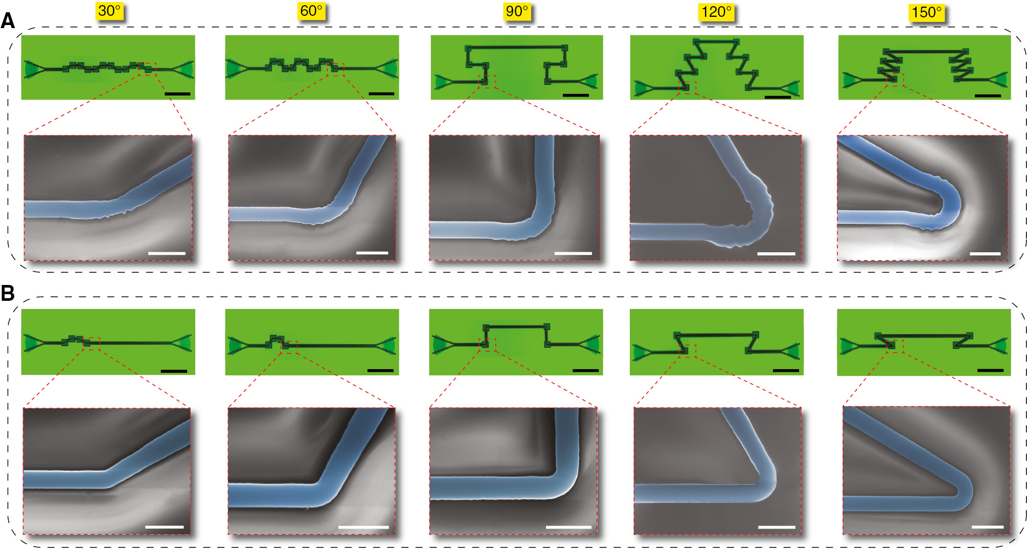 Figure 3: Device images of the photonic welding points and waveguide bends.(A) Optical microscope and SEM images of the fabricated devices for measuring the transmission loss of photonic welding points connecting two waveguides with bending angles of 30°, 60°, 90°, 120°, and 150°. The devices with bending angles of 30°, 60°, 120°, and 150° each contain 12 photonic welding points, whereas the one with bending angle of 90° contains 8 photonic welding points. (B) Optical microscope and SEM images of the fabricated devices for measuring the transmission loss of waveguide bends connecting two waveguides with bending angles of 30°, 60°, 90°, 120°, and 150°. Each device contains four cascaded bends for reducing the measurement error. Scale bars represent 40 μm in all optical microscope images and 1 μm in all SEM images.