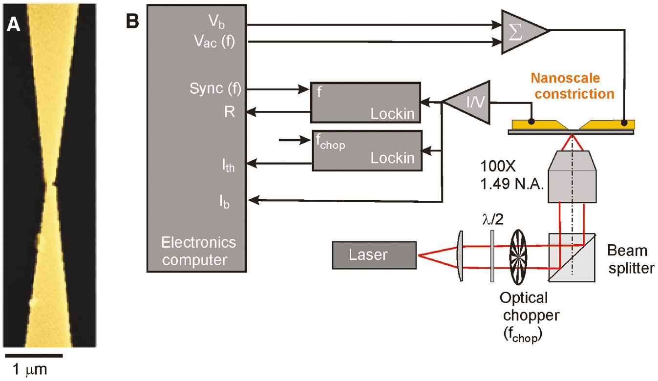 Figure 1: Gold constriction and experimental setup.(A) Colored SEM image of a typical nanoscale Au constriction fabricated on a glass substrate. The narrowest width is 100 nm and the yellow hue corresponds to the Au material. (B) Schematic representation of the setup used for optical excitation and electrical addressing. The total voltage applied to the constriction is the addition of a static bias Vb and a 20 mV sinusoidal voltage Vac oscillating at the frequency f=12.6 kHz. The laser is periodically chopped at fchop=831 Hz. A lock-in detection extracts the different frequency contributions to the total current measured by a current-to-voltage converter (I/V).