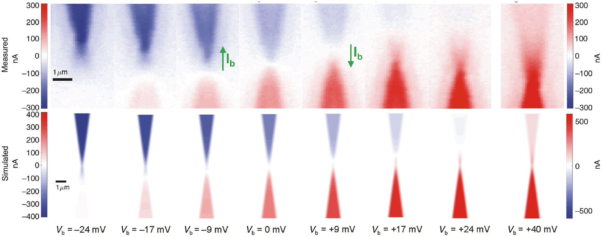 Figure 4: Thermocurrents maps with applied bias.Measured thermocurrents are shown in the first row as a function of the bias voltage (see value on the top of the maps), between Vb=–24 mV and Vb=+24 mV, plus an additional measurement at Vb=+40 mV. The second row shows the thermocurrents numerically calculated for the same values of the bias voltage. The potential is applied to the lower electrode and the upper one is connected to the circuit ground. The green arrows at Vb=±9 mV indicate the direction of the electronic current Ib flowing in the device upon biasing.