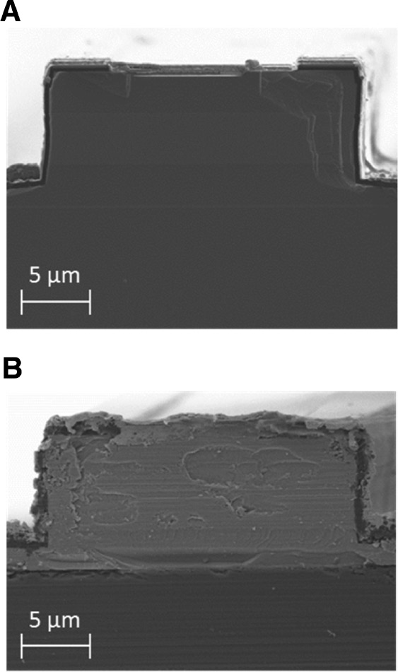 Figure 10: Scanning electron microscope images: the reference InP device (A) and the Si device (B) [59].