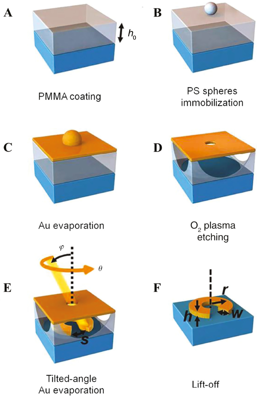 Figure 13: Fabrication scheme.(A) Deposition of sacrificial PMMA layer; (B) deposition of polystyrene spheres in an arbitrarily distributed arrangement; (C) evaporation of oxygen plasma resistant Au-mask; (D) removing polystyrene spheres with ultrasonic bath and subsequent isotropic dry etching leads to extended holes in PMMA layer; (E) evaporation of the structures by tilted angle evaporation (polar rotation angle θ, azimuthal tilt angle φ); (F) lift-off of the sacrificial PMMA layer, adapted from Ref. [134].
