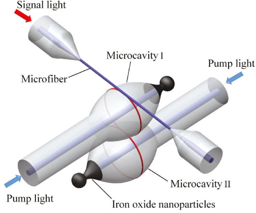 Figure 1: Schematic of all-optical controllable EIT based on coupled silica microbottle cavities.