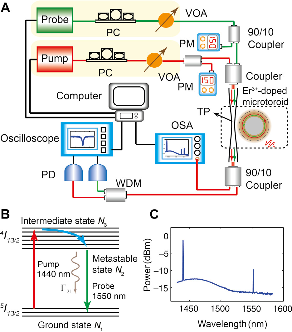 Figure 1: Experimental setup, energy levels and emission spectra of erbium ions.(A) Experimental configuration for measuring optical gain lifetime. VOA, variable optical attenuator; WDM, wavelength division multiplexer; PD, photodetector; OSA, optical spectrum analyzer; PM, power meter; TP, tapered fiber; PC, polarization controller. (B) The energy levels of erbium ions. Γ21 stands for spontaneous decay rate of erbium ions from metastable states into ground states. (C) Emission spectra of Er3+-doped WGM microcavities pumped in the 1430 nm band.