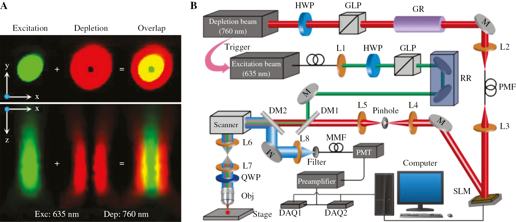 Figure 1: Principle and experiment system of STED microscopy.(A) Focal spots of the excitation beam and the depletion beam, and their overlap in both XY plane and XZ plane. (B) Schematic of the STED imaging system. L, lens; HWP, half wave plate; GLP, Glan-laser polarizer; GR, glass rod; RR, retro reflector; M, mirror; DM, dichroic mirrors; Obj, objective lens; QWP, quarter wave plate; SMF, single mode fiber; PMF, polarization maintaining fiber; MMF, multimode fiber; DAQ, data acquisition device.
