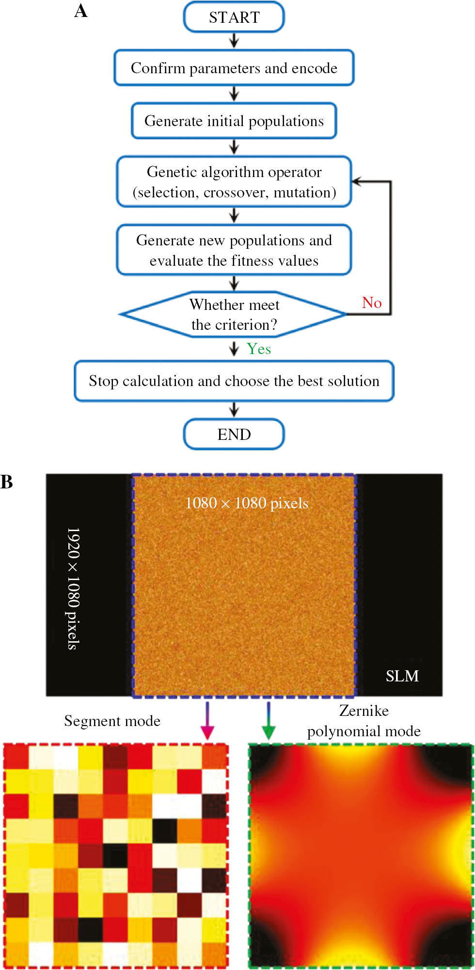 Figure 2: Principle of genetic algorithm.(A) The flowchart of genetic algorithm for finding the best solution. (B) Two encoded forms on SLM in GA procedure.