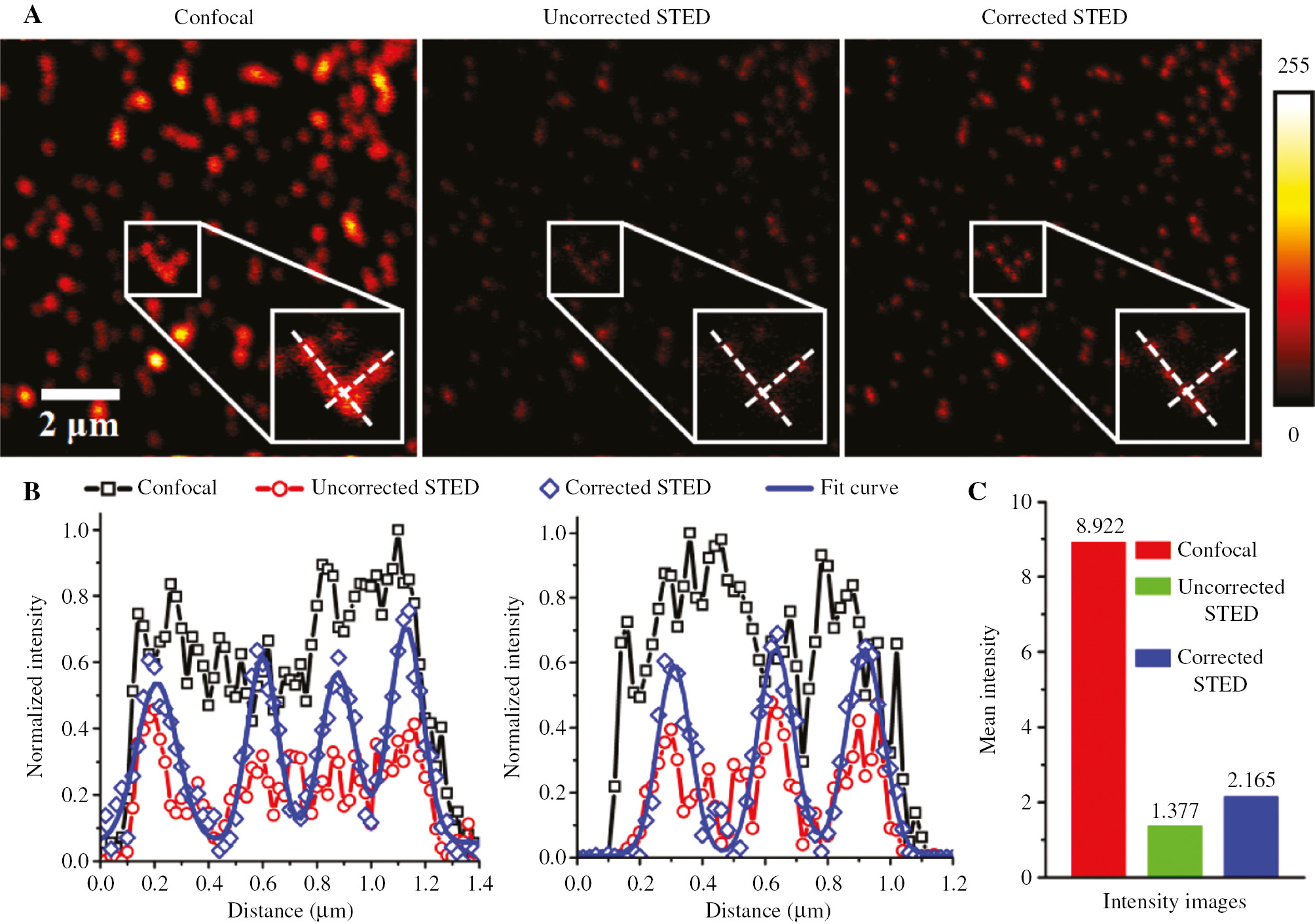 Figure 5: The improvement of image quality of fluorescent microspheres in STED microscopy.(A) Confocal and STED images at the depletion power of 19 mW before and after correcting system-induced aberration. (B) Normalized intensity profiles along two white dotted lines in (A), respectively. (C) The mean intensity of three fluorescence images.