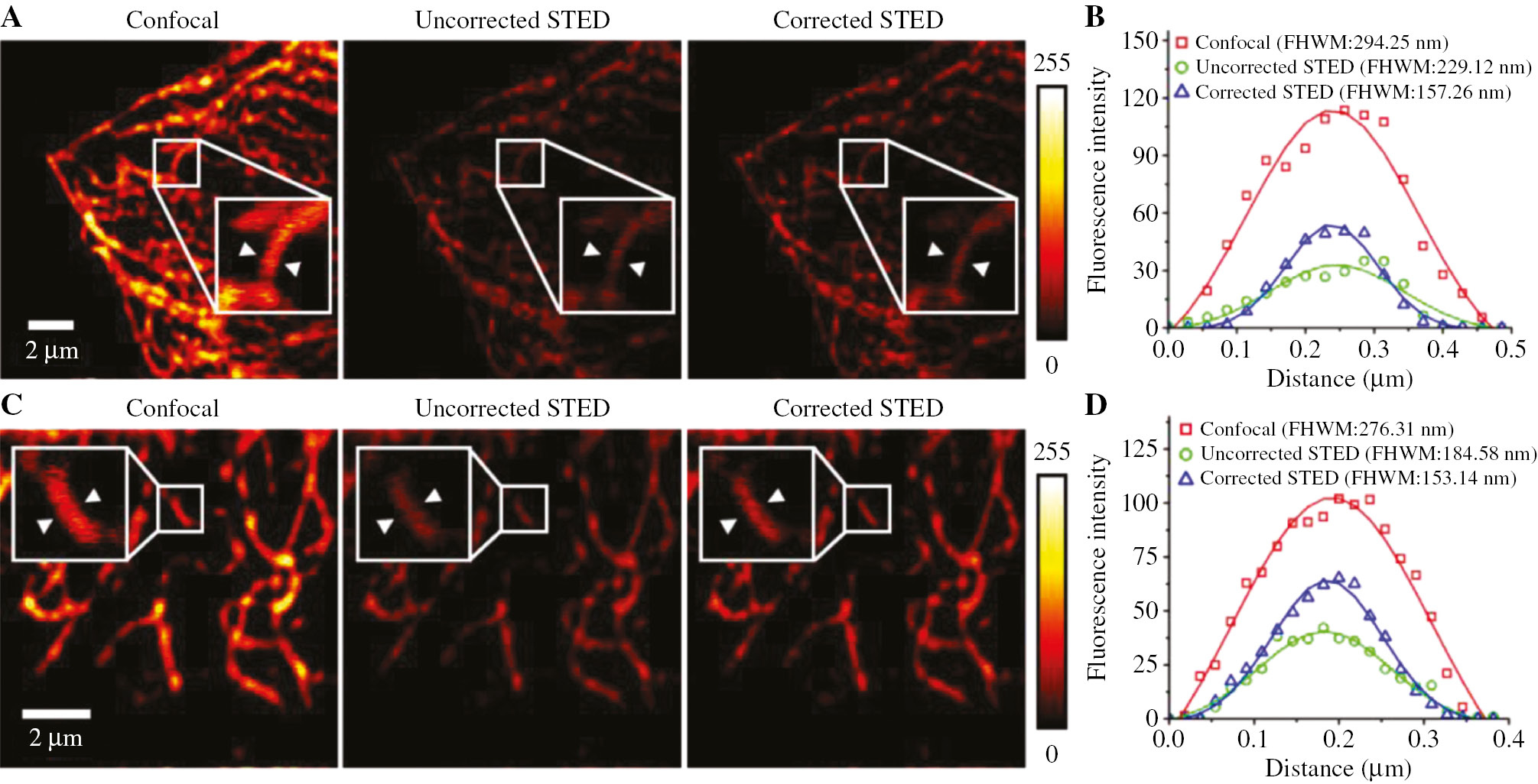 Figure 8: Full aberration correction in Hela cell sample.(A) Images of tubulin structures in a HeLa cell labeled with ATTO647N in the field of view of 15×15 μm2. (B) Fluorescence intensity profiles marked by white arrows in (A). (C) Images of tubulin structures in a HeLa cell labeled with ATTO647N in the field of view of 10×10 μm2. (D) Fluorescence intensity profiles marked by white arrows in (C).