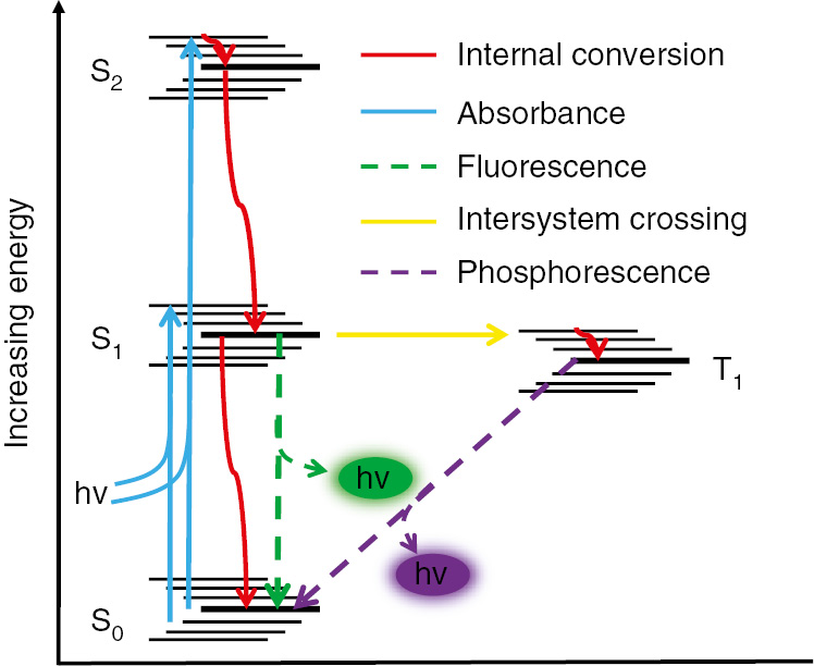Figure 4: Jablonski diagram showing fluorescence and competing pathways for molecular relaxation from an excited state.Reproduced with permission from [10].