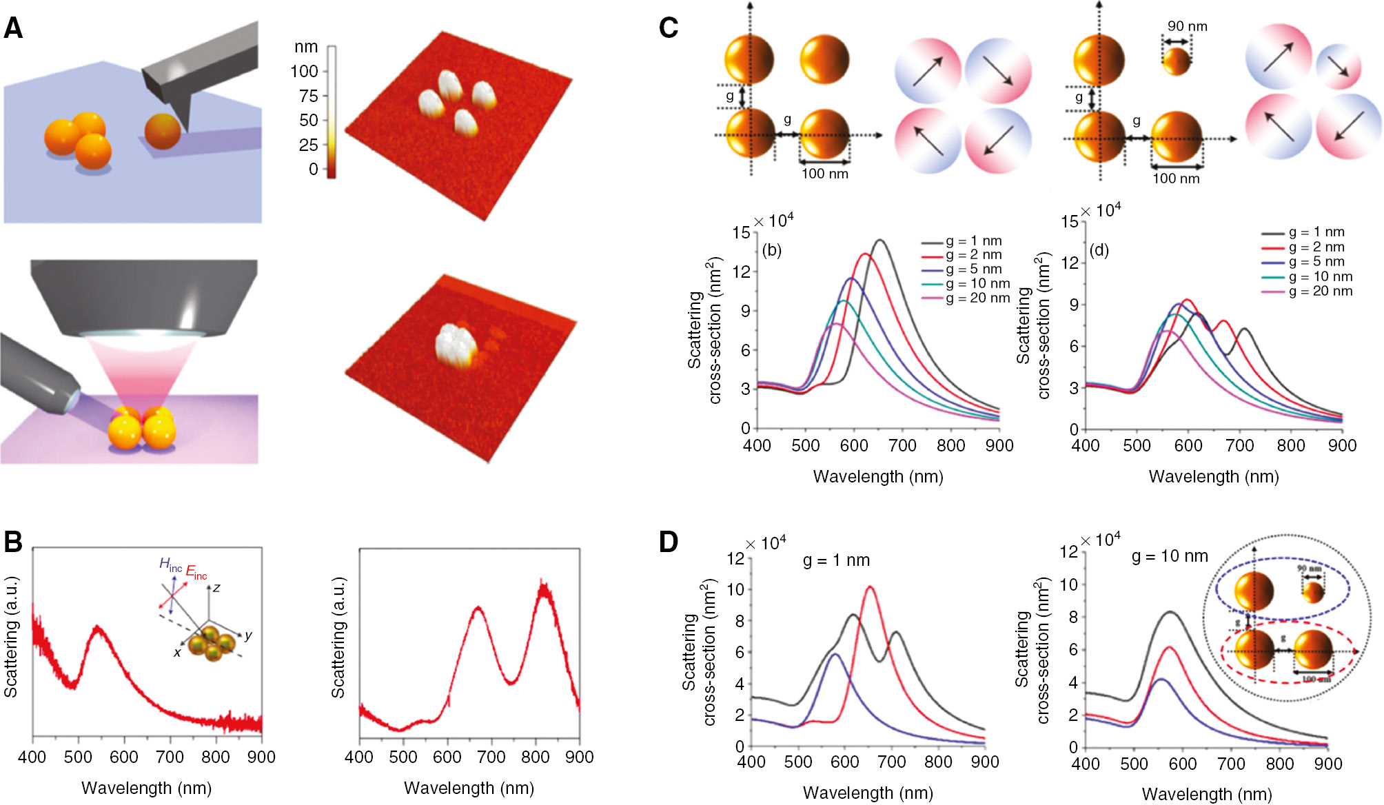 Figure 3: Plasmonic hybridization and Fano resonances.(A) Left, schematic of the AFM manipulation and optical scattering setup. Right, AFM images of the gold oligomers over an area of 1.25 μm×1.25 μm. (B) Measured scattering spectra when the four nanoparticles are far apart (left) and when they are arranged in a square aggregation with small gaps (right). The inset illustrates the experimental geometry and corresponding coordinate system. Reprinted by permission from from Springer Nature, Nat Nanotechnol 2013;8:95–9 A subwavelength plasmonic metamolecule exhibiting magnetic-based optical Fano resonance. Shafiei F, Monticone F, Le KQ, et al. (Ref. [51]) Copyright 2013 Springer Nature Limited. (C) Scattering cross-sections of the symmetric (left) and asymmetric (right) gold metamolecules for various interparticle distances g. In the symmetric case, the overall response of the system is dominated by the dipolar plasmon resonance of the single constituent, whereas the clustering of nanoparticles causes increased modes overlap and amplification of the scattering magnitude. In addition, the ring mode presents an overall net zero dipole moment and no Fano resonance is possible. Introducing a small asymmetry, for large interparticle distance the scattering cross section resembles the response of the isolated system, but for g <5 nm, the signatures for strong coupling between nanodimers are observed in the onset of a Fano resonance. (D) The mechanism behind the Fano formation. The optical response of the isolated constituent of the asymmetric oligomer shown in the inset was studied. While the dipolar plasmon resonance of the top dimer (blue curves) shifts to the single sphere’s LSPR, that of the bottom dimer (red curves) shifts to longer wavelengths. As the highest bright mode of the bottom dimer couples with the low dark mode of the top dimer, destructive interference between these modes results in a Fano dip in the scattering cross-section spectrum (black curves). Reprinted from Le KQ, Alù A, Bai J. Multiple Fano interferences in a plasmonic metamolecule consisting of asymmetric metallic nanodimers. J Appl Phys 2015;117:23118 (Ref. [93]), with the permission of AIP Publishing.