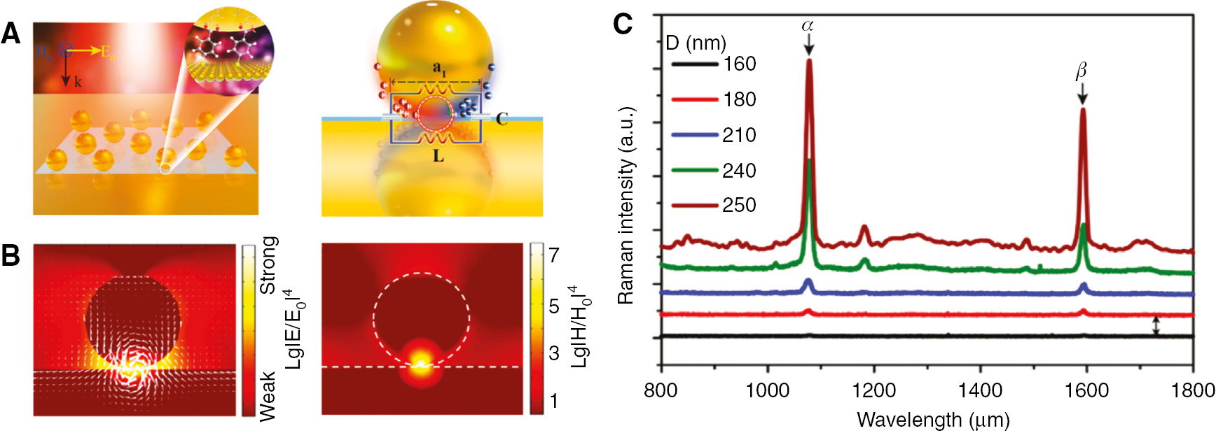Figure 6: Magnetic resonance-enhanced Raman spectroscopy.(A) Schematic illustration of the investigated coupled metallic nanosphere-film system and LC model at the magnetic dipolar mode. (B) The electric (left) and magnetic (right) field distributions at the magnetic resonance frequency. (C) The Raman signal of an MBA monolayer of molecules adsorbed on the flat gold film in the nanogap region, acquired for different values of the nanosphere diameter D. The labels α and β refer to the characteristic Raman lines of MBA. Adapted with permission from Chen S, Zhang Y, Shih TM, et al. Plasmon-induced magnetic resonance enhanced Raman spectroscopy. Nano Lett 2018;18:2209–16 (Ref. [67]). Copyright 2018 American Chemical Society.