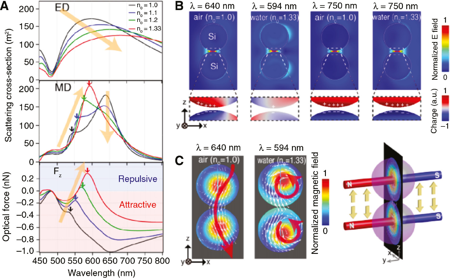 Figure 9: Magnetic optical binding forces.(A) Scattering spectra of the electric dipole (ED) and magnetic dipole (MD) modes and optical binding force of the Si nanodimer calculated for surrounding refractive index (n0) increase from 1.0 to 1.33. (B) Electric field distribution and surface charge density at different wavelengths in air and water. (C) Left, magnetic field distribution and current flow at 640 nm and 594 nm. Right, schematic representation of the repulsive force generated at 594 nm in water owing to the magnetic Lorentz force. Adapted with permission from Ref. [73], 2017 Optical Society of America.