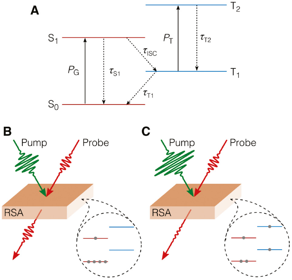 Figure 1: RSA physical mechanism.(A) Jablonski diagram of an absorbing medium represented by a four-level atomic system. S0,1 and T1,2 represent the singlet and triplet states, respectively. (B) Linear regime: low-intensity pump with insufficient population in the lower triplet state. (C) Nonlinear regime: high-intensity pump with absorption taking place in the triplet states leading to RSA behavior.