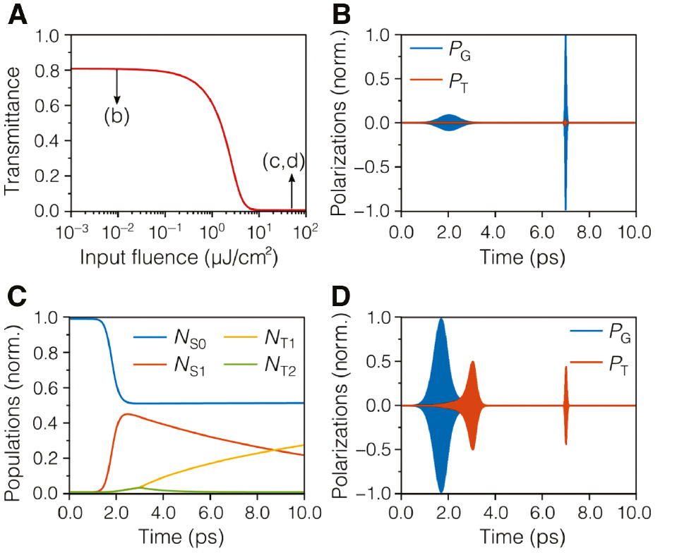 Figure 2: RSA behavior and time dynamics of the four-level system.(A) Transmittance vs. input fluence of a 1-μm film. (B) Induced polarization densities inside the RSA at 0.01 μJ/cm2; polarizations are governed by the ground state, as the triplet state contribution in the linear regime is negligible (not shown). Nonlinear regime time dynamics for a pump fluence of 50 μJ/cm2: (C) state densities and (D) polarizations.