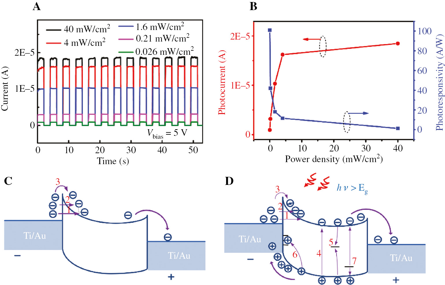 Figure 6: (A) Photocurrent as a function of time with different laser power density modulated. (B) Laser power dependence of the photoresponsivity and photocurrent. Schematic energy band diagrams of the few-layer MoSe2 MSM PD in the dark (C) and under laser illumination (D).