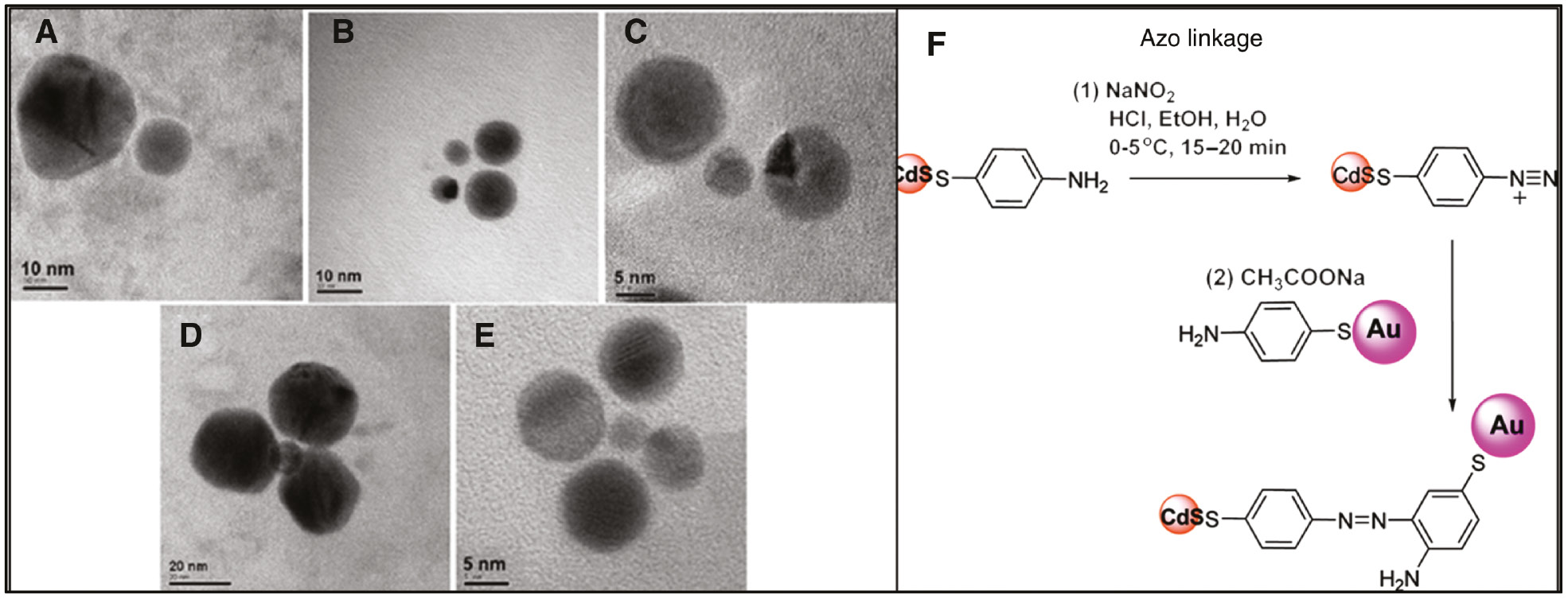 Figure 1: Covalent linkage of AuNPs and CdS QDs.(A–E) Structures formed by assembling AuNPs and CdS QDs. (A) A dimer of one AuNP and one QD. (B) Two dimers of one AuNP and one QD. (C) Trimer of one QD between two AuNPs. (D) Tetramer of one QD between three AuNPs. (E) Pentamer of one QD surrounded by four AuNPs. (F) Reaction scheme depicting the linking of AuNPs and CdS QDs through the formation of an azo bond. Adapted with permission from Ref. [42]. Copyright 2010 American Chemical Society.