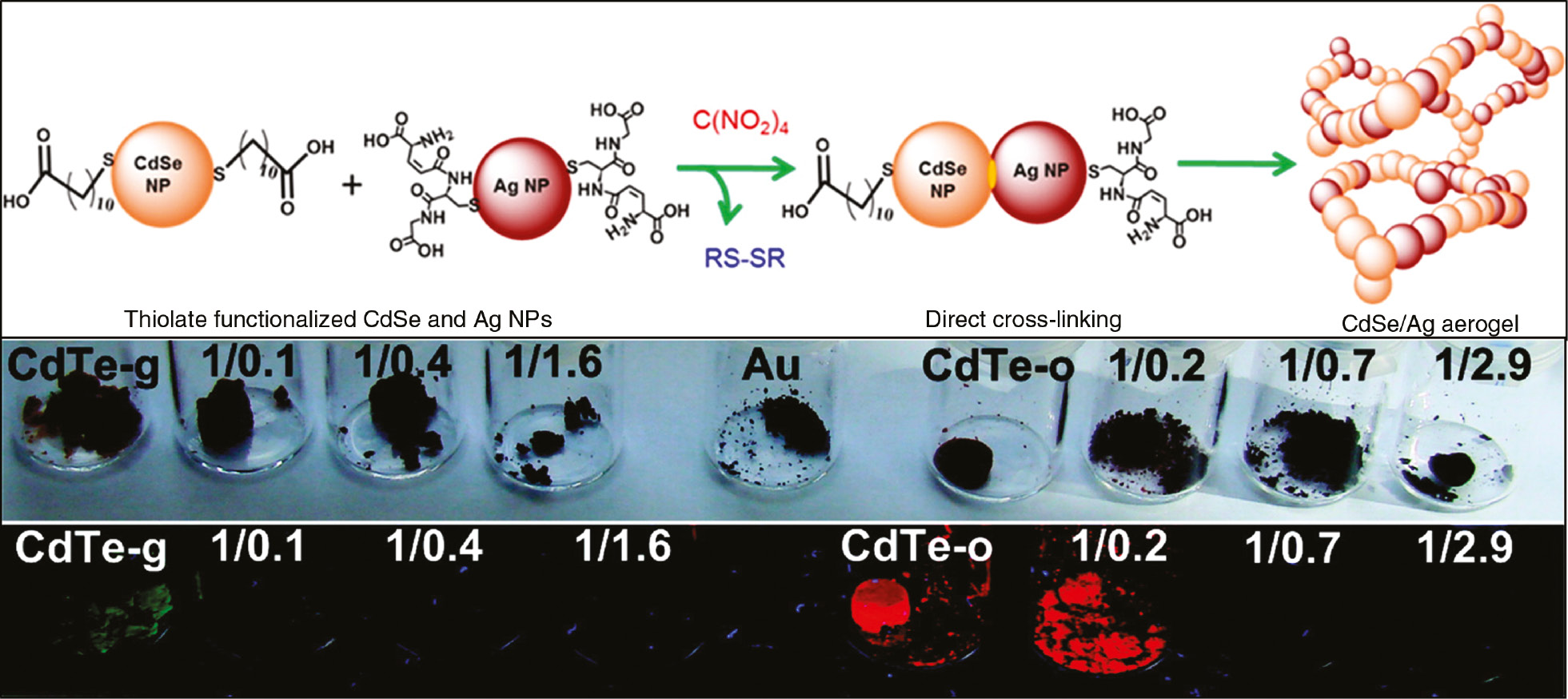Figure 7: (Top) Reaction showing the formation of an aerogel consisting of AgNPs and CdSe QDs through the process of ligand removal. (Middle) Aerogels made of green fluorescing (CdTe-g) and orange fluorescing (CdTe-o) CdTe QDs with AuNPs. The ratios given refer to the ratio of CdTe to gold in the shown aerogel. (Bottom) Fluorescence of aerogels of varying composition. Only (Top) is reprinted from Ref. [83]. (Middle) and (bottom) are reprinted from Ref. [82], which is also from ACS, but from 2011. Copyright 2011 and 2015 American Chemical Society.