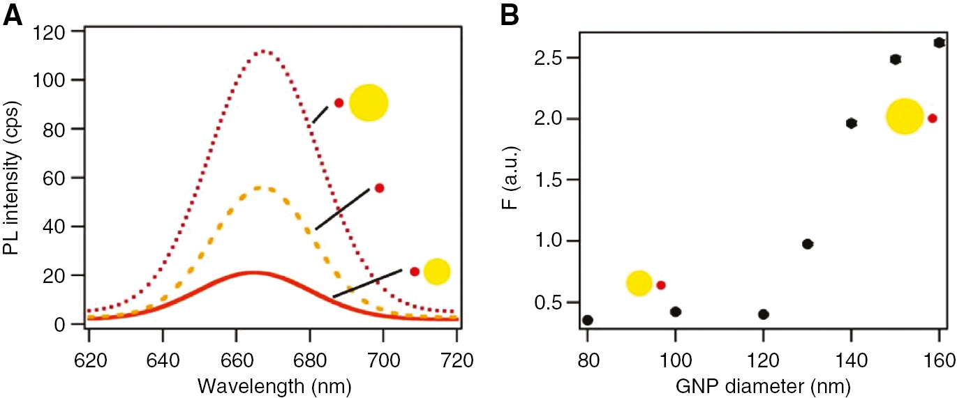 Figure 18: Effect of plasmonic nanoparticle size on photoluminescence of nearby QDs.(A) Fluorescence intensity for bare CdTe/CdS core-shell QDs (middle), with 160 nm AuNPs (top), and with 80 nm AuNPs (bottom). (B) Graph showing the fluorescence intensity of CdTe/CdS QDs near AuNPs of varying sizes. Adapted with permission from Ref. [111]. Copyright 2010 American Chemical Society.