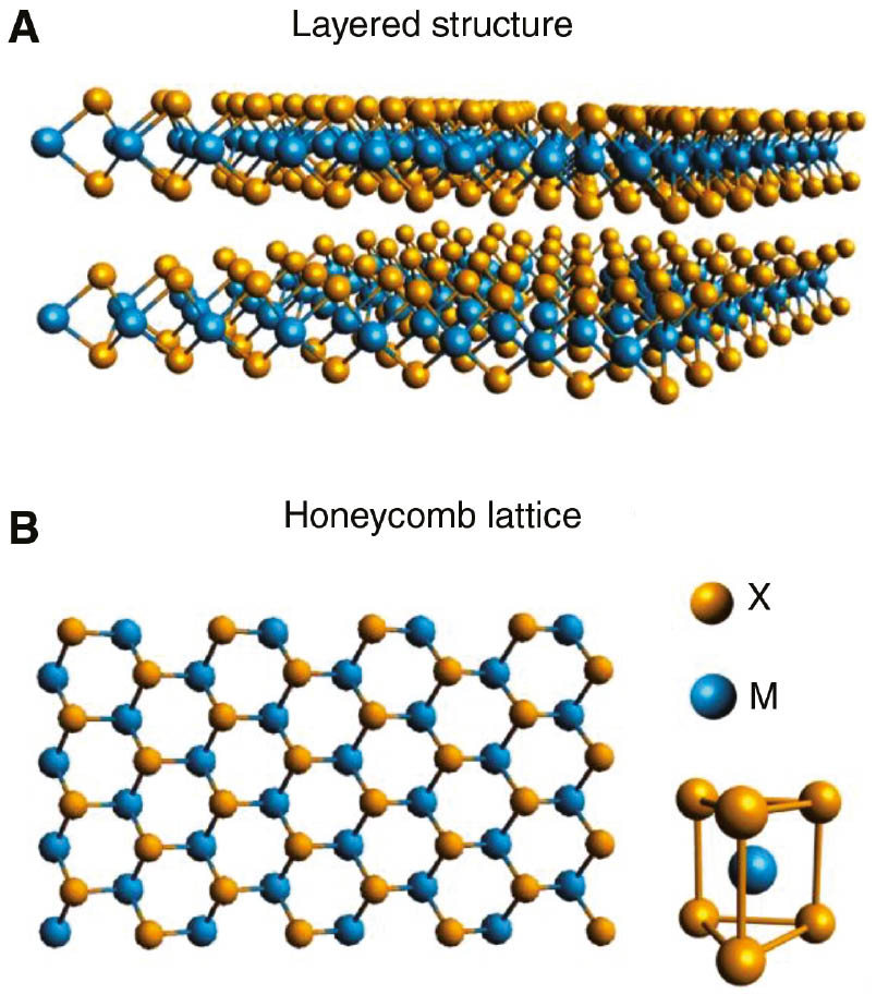 Figure 1: Atomic structure of TMDs.(A) Three-dimensional schematic of a layered MX2 (M=Mo, W; X=S, Se, Te) structure. In a TMD monolayer, a layer of transition metal atoms (M, blue spheres) is sandwiched between two layers of chalcogen atoms (X, yellow spheres). (B) Top and side views of a honeycomb lattice of a TMD with two sublattice sites occupied by metal and chalcogen atoms, respectively.