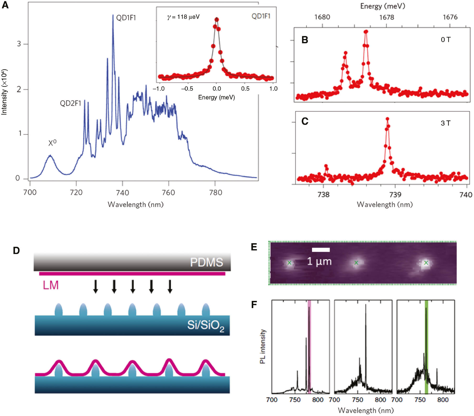 Figure 3: Single-photon emitters in monolayer TMDs.(A) Low-temperature photoluminescence spectra of a monolayer WSe2 flake, showing narrow emission peaks at energies lower than the excitonic emission X0. The inset shows a high-resolution spectrum for the peak labeled QD1F1. (B, C) High-resolution spectra of a different emission peak, showing the doublet structure in the absence of a magnetic field (panel B) and with a 3 T magnetic field (panel C) applied perpendicular to the monolayer plane. (D) A mechanically exfoliated TMD monolayer is deposited on an array of Si micropillar, introducing a local strained array. (E) Integrated PL intensity map of a region enclosing three nanopillars, indicated by the green crosses. (F) PL spectra taken at the three green crosses in panel (E). Panels (A–C) and (D–F) are adapted with permission from Ref. [18], Nature Publishing Group, and Ref. [59], Nature Publishing Group, respectively.
