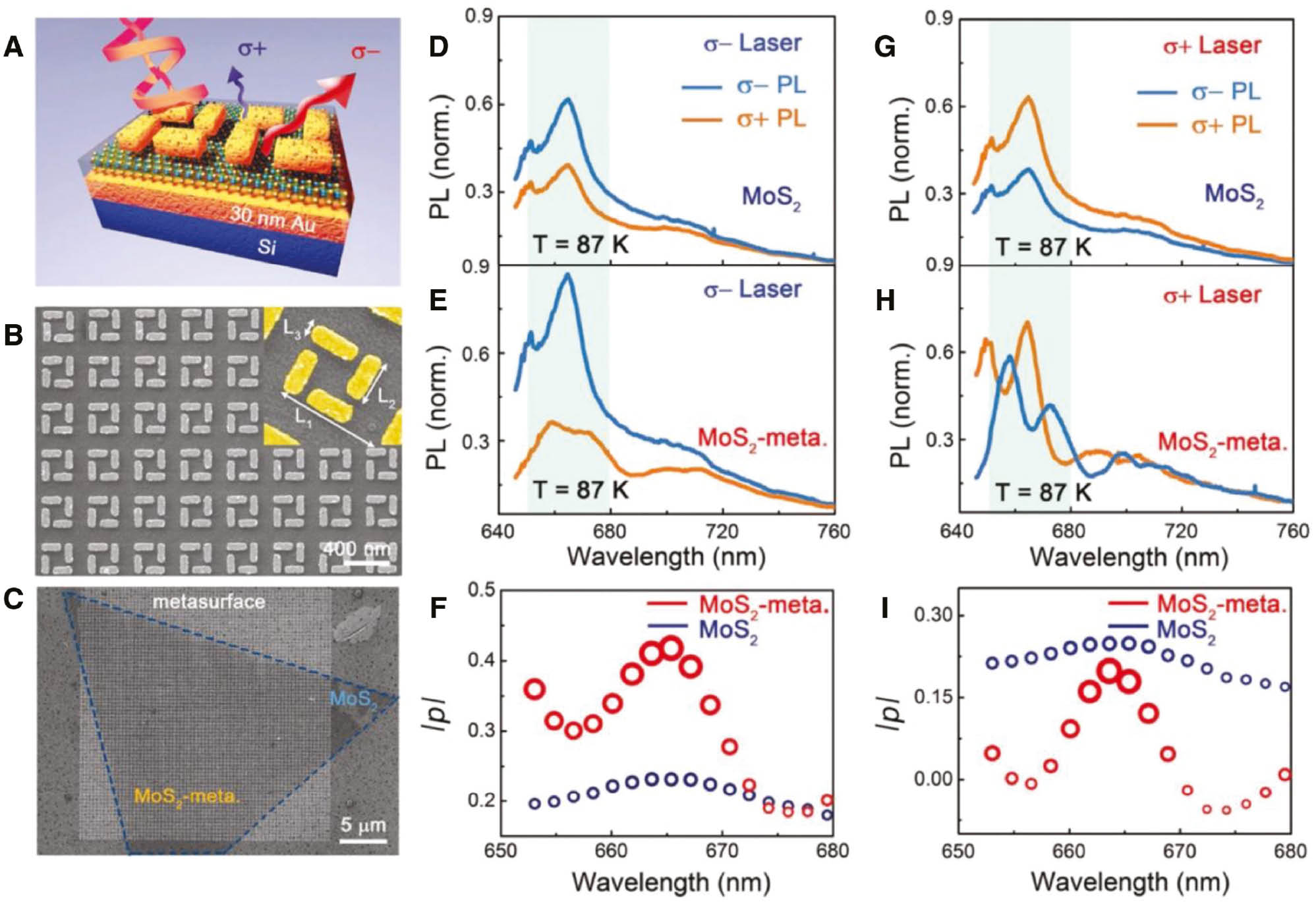 Figure 8: MoS2–metasurface hybrid system and its valley-polarized PL spectra.(A) Schematic of hybrid MoS2–metasurface structure, where the chemical vapor deposition (CVD)-grown MoS2 monolayer is between a chiral metasurface layer and a 30-nm-thick Au film. (B) SEM image of the metasurface fabricated by e-beam lithography. Inset shows the SEM image of one unit. (C) The SEM image of MoS2–metasurface hybrid structure. The triangle shape of MoS2 monolayer is shown as the blue dotted lines. (D, E) Circularly polarized PL spectra of the MoS2 monolayer (D) and the hybrid MoS2–metasurface (E) under σ− optical pumping (633 nm) at T=87 K. (G, H) Same as in panels (D, E), but for under σ+ optical pumping. Degree of valley polarization (DVP) plots for MoS2 monolayer and hybrid MoS2–metasurface are shown under (F) σ− pumping and (I) σ+ pumping. An increase of DVP from 25% to 43% with σ− pumping is observed, while a decrease of DVP from 25% to 20% with σ+ pumping is seen. Panels are adapted with permission from Ref. [114], John Wiley and Sons.