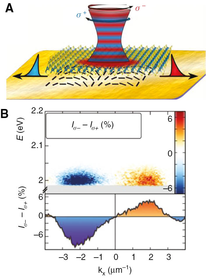 Figure 10: Directing emissions from valley excitons in a WS2 monolayer with a chiral metasurface at room temperature.(A) Schematic of propagation of spin-momentum-locked SPPs with opposite chirality. (B) Momentum-resolved differential PL under σ+ and σ− optical pumping. Panels are adapted with permission from Ref. [115], American Chemical Society.