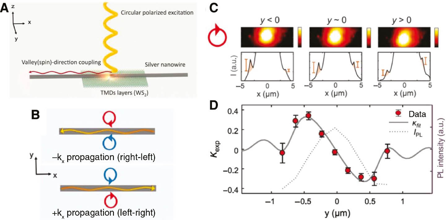 Figure 12: Coupling between valley-polarized excitons and guided SPPs in the WS2–nanowire hybrid structure.(A) Schematic of directional emission of valley-polarized excitons in the WS2-nanowire hybrid structure. (B) Distribution of optical spin handedness depends on both the position and propagation direction. (C) PL spatial maps of valley-polarized excitons (top plots, in log scale) and line cuts along the nanowire (bottom plots, in linear scale) under left-circularly polarized optical excitation for three different excitation vertical positions. The intensity near the excitation spot is intentionally saturated for better contrast of the signal. (D) Directional coupling efficiency, defined as kexp=(IL−IR)/(IL+IR), measured for guided emission as a function of the position of the laser spot, with left-handed circular polarization excitation. Gray line is the fitting result from the calculated directional coupling efficiency and the dotted line is the total PL intensity. Panels are adapted with permission from Ref. [135], The American Association for the Advancement of Science.