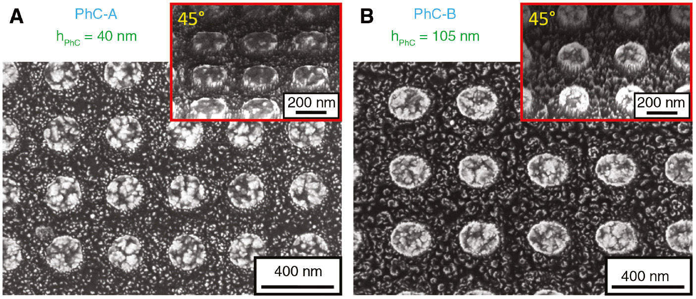 Figure 2: Scanning electron microscopy micrographs of the diamond-based 2D PhCs.(A) PhC-A: lattice constant a=345 nm, column diameter d=205 nm, thickness of diamond layer before etching h=160 nm, and thickness of diamond layer after etching hw=120 nm. (B) PhC-B: lattice constant a=390 nm, column diameter d=215 nm, thickness of diamond layer before etching h=160 nm, and thickness of diamond layer after etching hw=55 nm. The insets show the morphology of respective samples under 45° angle.