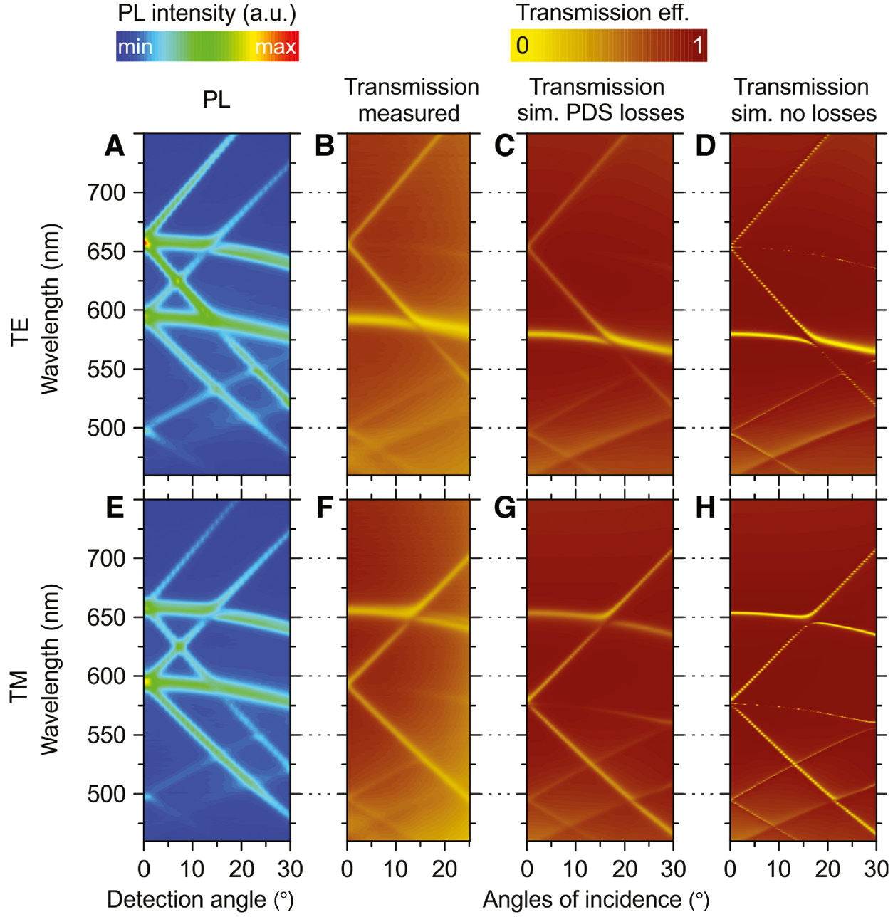 Figure 4: Measured PL spectra (PhC-A) as a function of the extraction angle, and transmission band diagrams.(A) Angle-resolved PL spectra excited by TE-polarized laser beam incident at the resonant angle of 54.3° and (E) excited by the TM-polarized laser beam incident at the resonant angle of 42.9°. Measured (B), RCWA simulated with losses (C), and simulated without losses (D) transmission efficiency as a function of the angle of incidence (along the Γ-X direction of high symmetry) for the TE-polarized light. (F–H) Same for the TM-polarized light.