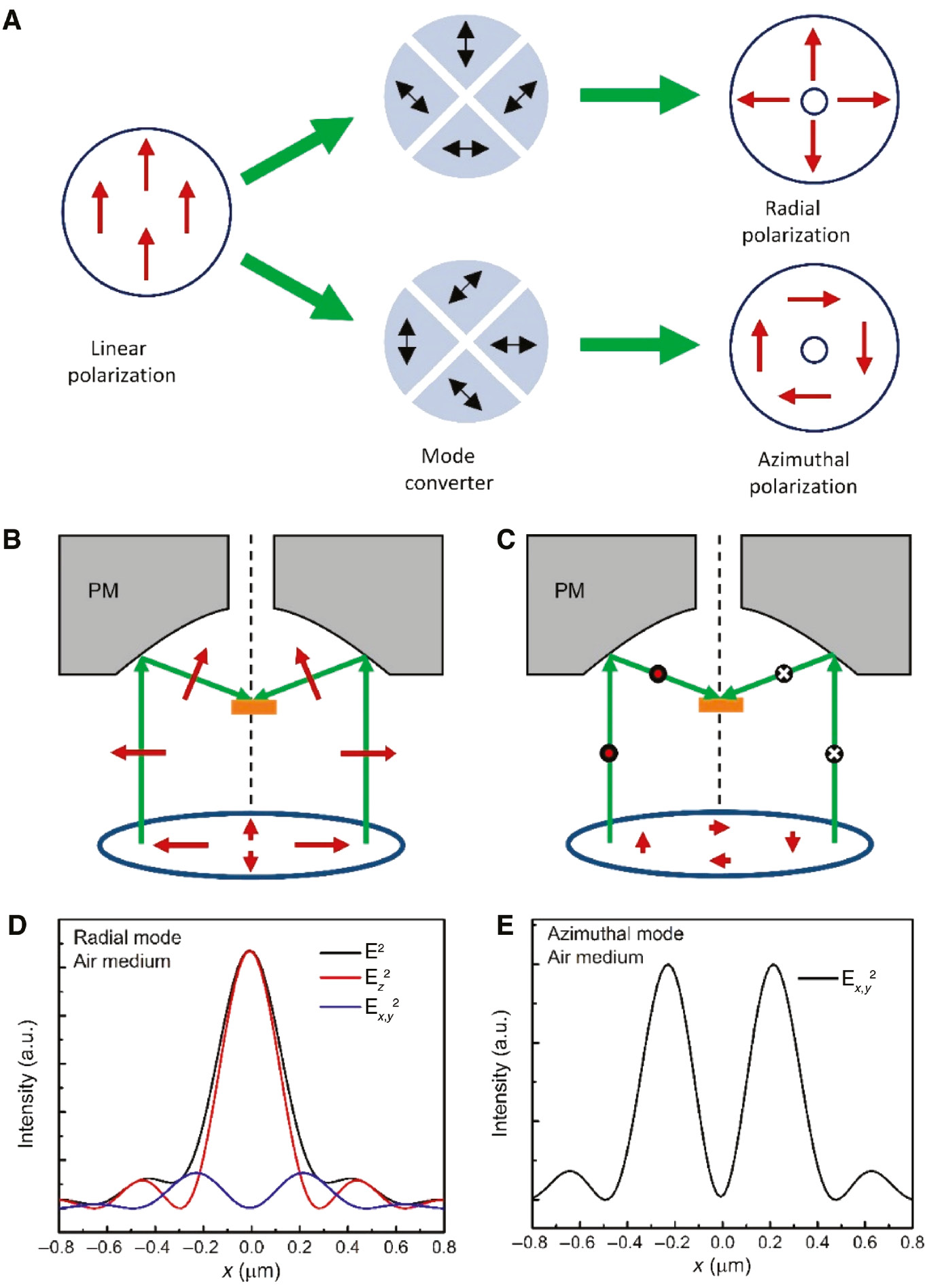 Figure 1: Radial and azimuthal polarization: generation and electric field intensity distribution.(A) Realization of the radial and azimuthal modes from a linearly polarized laser by a mode converter. The red arrows indicate the polarization of the laser beam, and the black two-side arrows stand for the fast axis of the λ/2 wave plate. Parabolic mirror (PM, illustrated as a gray block) focuses (B) the radially polarized laser beam, and (C) the azimuthally polarized laser beam onto the sample (orange block). The green arrows indicate the light propagation direction, while the red ones show the polarization directions. The gray-dashed line is the optical axis of the PM. (D, E) Calculated electric field intensity distributions when a radially polarized beam or an azimuthally polarized beam is focused by a PM. Ex,y2, Ez2, and E2 are the field intensity of the transverse component, of the longitudinal component, and the total electric field intensity, respectively. The results are calculated using an excitation wavelength of 636 nm and air medium.