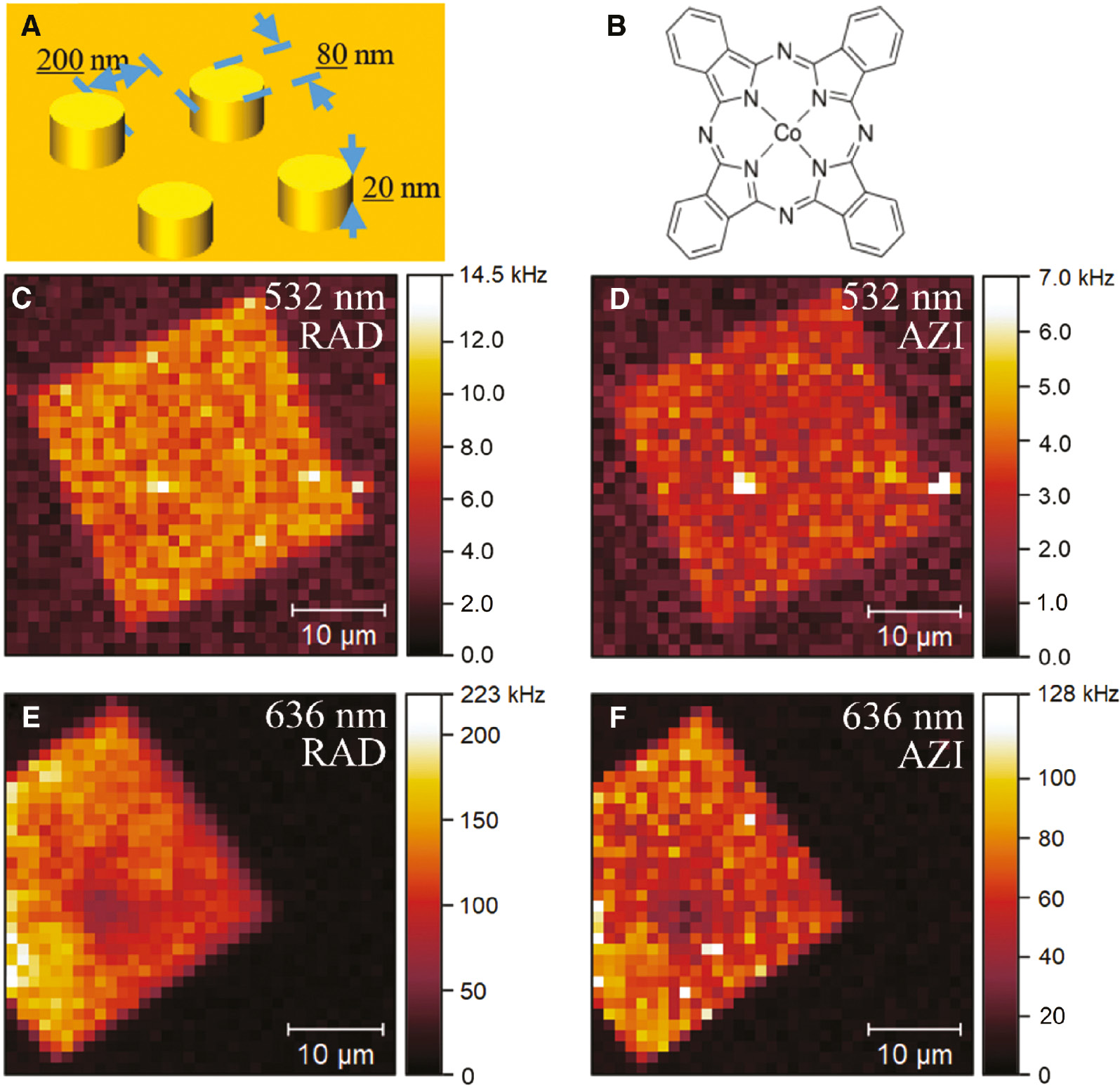 Figure 2: Confocal optical images of CoPc on nanostructured Au.(A) Schematic diagram of a CoPc thin film deposited on a nanostructured gold substrate. (B) Chemical structure of CoPc. (C–F) Confocal optical images from a Au nanodisk array using 532 nm excitation and 636 nm excitation, respectively. For (C) and (E), a radial incident polarization is used, while for (D) and (F) an azimuthal polarization is used. The abbreviations “RAD” denotes the radially polarized mode, while “AZI” is the azimuthally polarized mode. The excitation power at the sample is ~200 μW for the 636 nm excitation and ~50 μW for the 532 nm excitation.