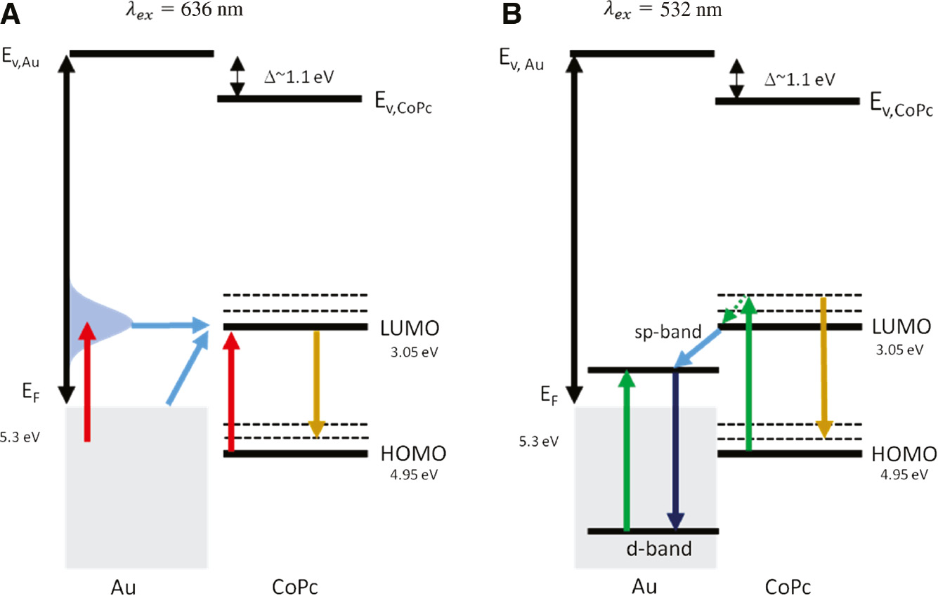 Figure 6: Energy diagram at the interface between Au and the CoPc molecule.(A) The different excitation and charge-transfer process occurring at 636 nm excitation. On the left side, only the hot electron population (shown as a blue peak) in Au is excited by the 636 nm laser irradiation. On the right side, the HOMO-LUMO transition in CoPc is resonantly excited by the 636 nm laser. The two blue arrows indicate the possible photo-induced metal-to-molecule charge-transfer processes. The horizontal blue arrow shows the charge transfer from the hot electron population to the LUMO of the CoPc molecule. The diagonal blue arrow indicates the charge-transfer process from the Au Fermi level directly to the LUMO of the CoPc molecule. The downward-pointing brown arrow represents the Raman scattering process. (B) The excitation, emission, and charge-transfer process occurring at 532 nm excitation. The green arrows refer to either the d-sp interband transition in Au or the molecular excitation of CoPc. The downward-pointing dashed green arrow indicates the nonradiative relaxation. The downward-pointing dark-blue arrow indicates the radiative relaxation in Au. The blue arrow indicates the possible photo-induced molecule-to-metal charge transfer. The downward-pointing brown arrow represents the Raman scattering process.