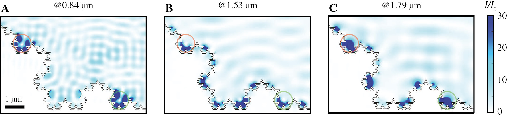 Figure 4: Localising photons with different wavelengths in the same region.Plasmonic leaf K4 with strong localisation of light for (A) λ=0.84 μm, (B) λ=1.53 μm, and (C) λ=1.79 μm. The light at different wavelengths can be localised to the same region, as marked by the red/green circles.