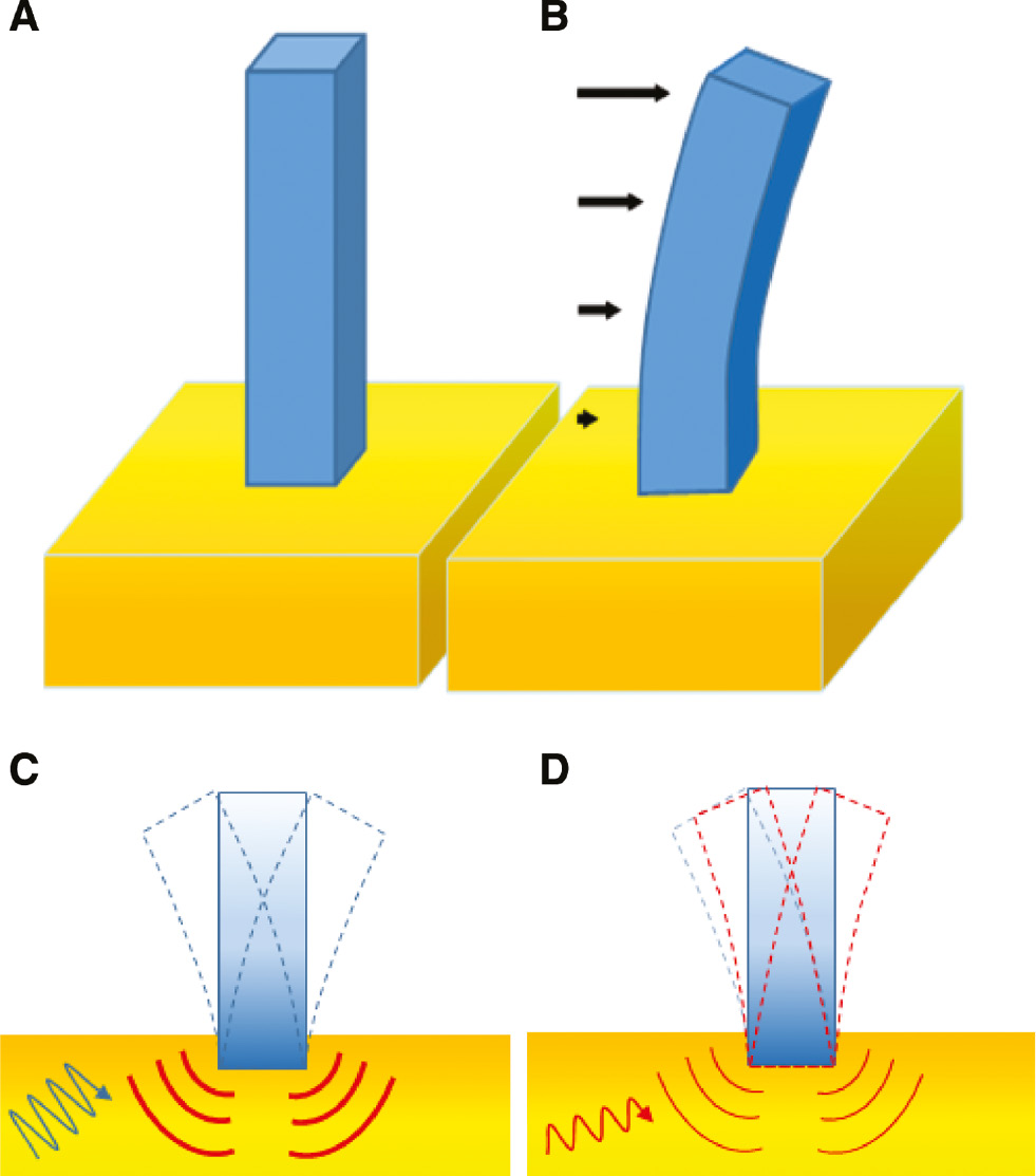 Figure 4: Deformation of building on a thick plate versus building under seismic disturbance: (A) Building at rest. (B) Elastic deformation for the first fundamental mode of the building. (C) Building under seismic disturbance and inertial interaction represented as a secondary seismic source, before the initial vibrational excitation. (D) Same as (C) after acting on the initial vibrational excitation. Acting on the input signal allows to influence, and particularly with the aim to decrease, the emitted vibration by the structure.