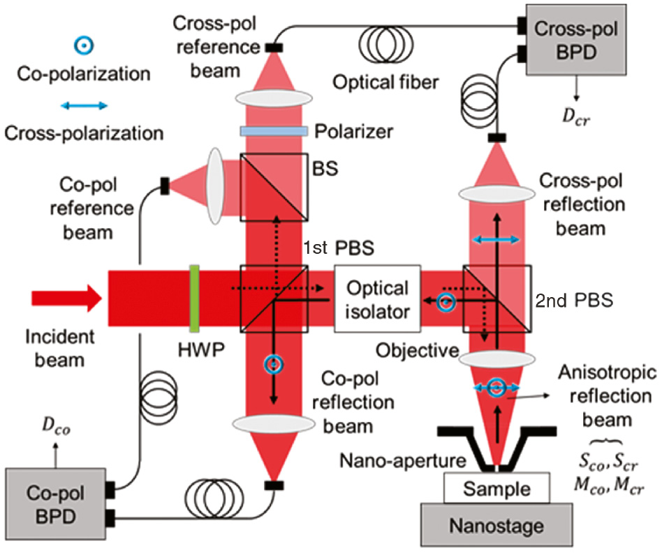 Figure 3: Schematic of a plasmonic near-field scanning nanoscope (PNSN) which collects both polarization components of the anisotropic reflection from the nano-aperture by applying a cross-polarization detection technique.The incident beam, slightly rotated by a half-wave plate (HWP), is separated by the first polarized beam splitter (PBS) into the reference beam and the illumination beam. The reference beam is separated again by the beam splitter (BS) into copolarization and cross-polarization reference beams for each detection channel of the balanced photodetector (BPD). The second PBS separates the anisotropic reflection from the nano-aperture to detect each polarization component individually. The anisotropic reflection contains the signals and motional noises for each polarization. Black dashed arrows and solid arrows indicate the directions of the incident beam and the reflected beam, respectively, from the aperture.