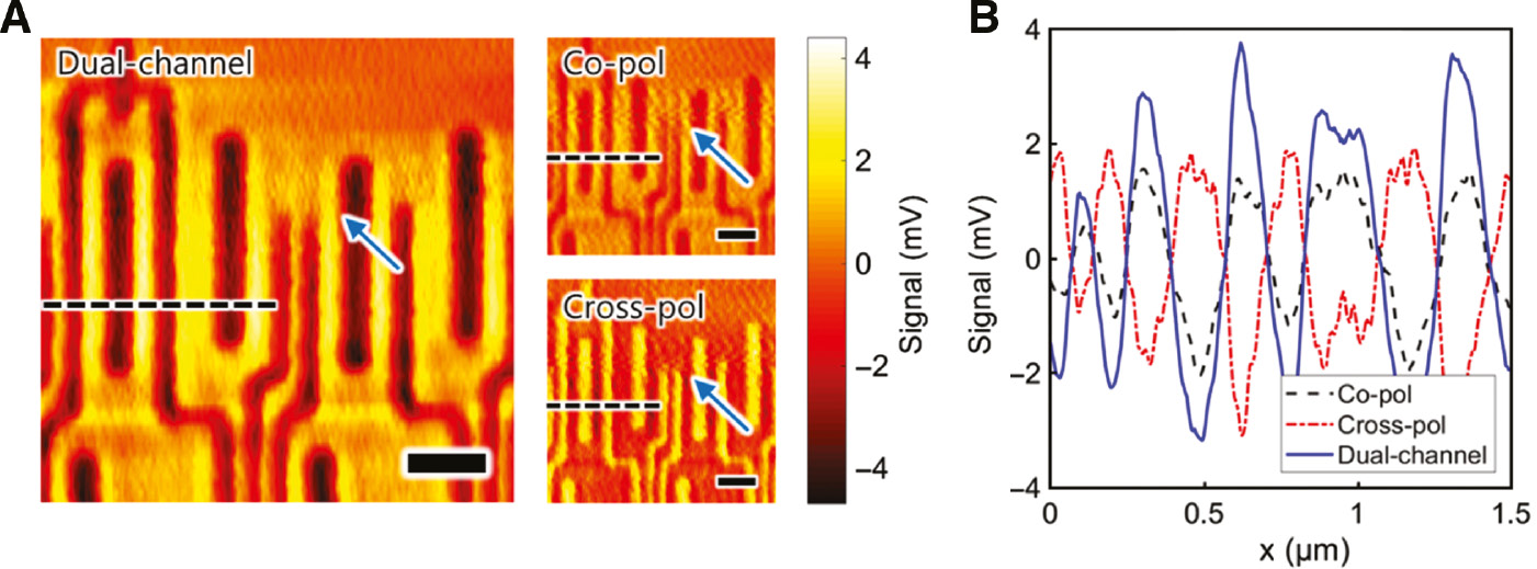 Figure 5: Imaging results of the SiO2/air heterogeneous structure in dynamic random access memory (DRAM) patterns using the plasmonic near-field scanning nanoscope (PNSN).(A) Two-dimensional signal maps of a 3 μm×3 μm area through dual-channel detection (left); copolarization signal (right, top); and cross-polarization signal (right, bottom). Crease-like noise artifacts in single-channel images, indicated by blue arrows, are nearly eliminated in the dual-channel case. Scale bar=0.5 μm. (B) Line profiles of black dashed lines.