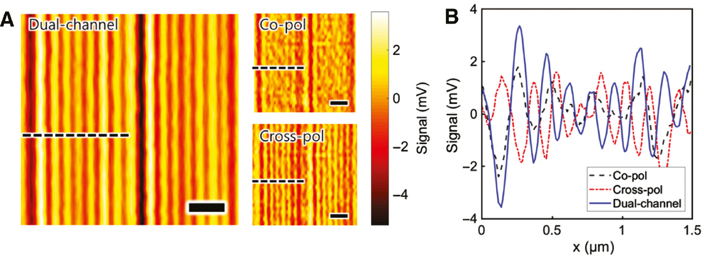 Figure 6: Imaging results of the SiO2/air line array pattern in dynamic random access memory (DRAM) patterns using the plasmonic near-field scanning nanoscope (PNSN) in noisy conditions.(A) Two-dimensional signal maps of a 3 μm×3 μm area through dual-channel detection (left); copolarization (right, top); and cross-polarization signals (right, bottom). Scale bar=0.5 μm. (B) Line profiles of black dashed lines.