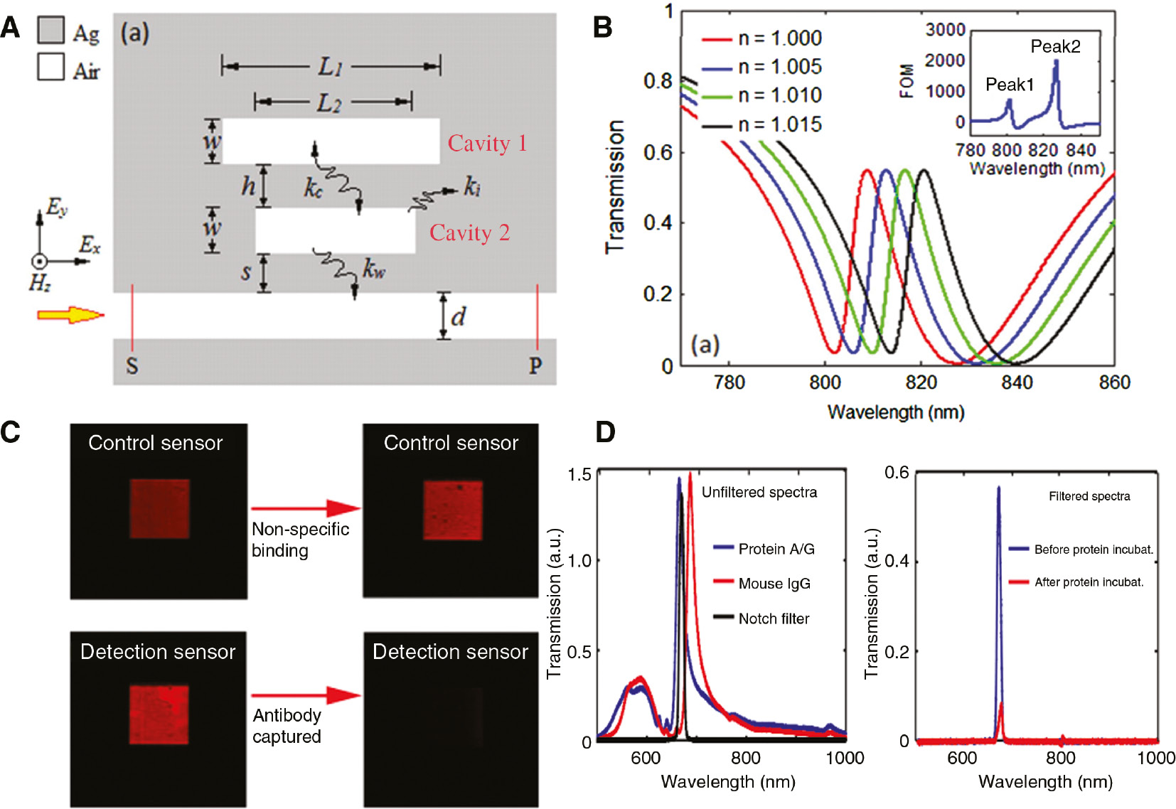 Figure 7: Select MIM nano arrays supporting Fano resonance for sensing applications.(A) Schematic layout of a metal-dielectric-metal based plasmonic resonator; (B) the sensing response of Fano resonance peak shift with change in refractive index, inset: corresponding FOM variation (A and B reproduced from [149]); (C) comparison of CCD images with transmitted light obtained from detection and control sensors. Transmitted light intensities drop with capturing antibody; (D) (left) transmission spectra of before (blue curve) and after (red curve) capturing of the antibody. Spectral characteristic of the notch filter (green curve) is shown. (right) Transmitted light intensities in the presence of the notch filter is given before (blue curve) and after (red curve) the capturing of the antibody (C and D reproduced from [155]).