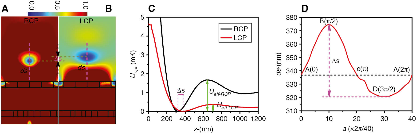 Figure 3: Quantitative description for the trapping ability of the system.Normalized spatial electric field intensity (|E|2) distributions for (A) RCP and (B) LCP excitations at x=0 or y=0 plane. (C) Corresponding optical dipole potential Uopt distributions along the pink dashed lines in A and B with input power P0=1 mW. (D) The variation law of ds with change in a.