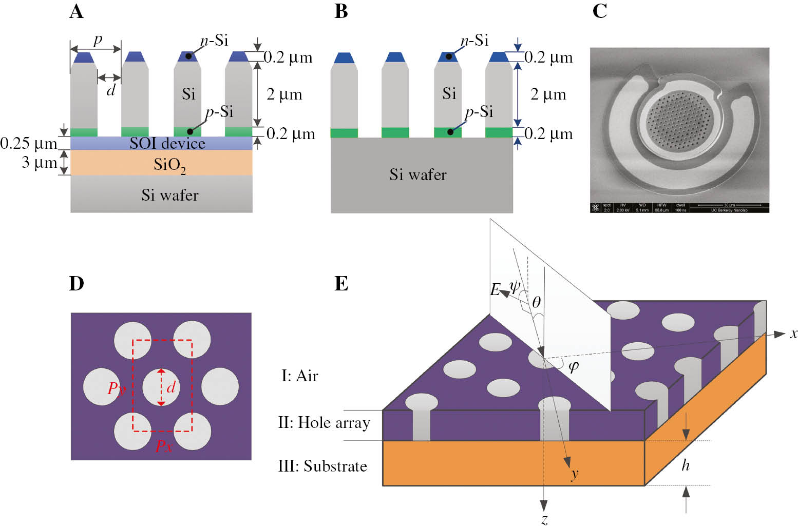 Figure 1: Design of photodiodes with integrated photon-trapping holes on both SOI and bulk Si wafers.(A and B) The n-i-p photodiode structure on an SOI wafer (A) and a bulk Si wafer (B), showing the integrated funnel-shaped holes that span the n, i, and p layers. (C) Scanning electron micrograph of the active region of an Si PIN photodiode (30 μm diameter). (D) Holes in hexagonal lattice. (E) Periodic hole array illuminated by a plane wave with a rectangular Cartesian coordinate system added for clarity.