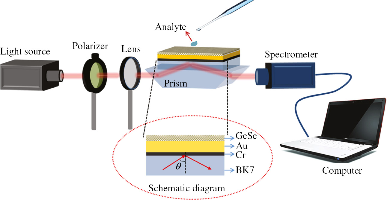Figure 1: Experimental set-up for SPR sensor technique.