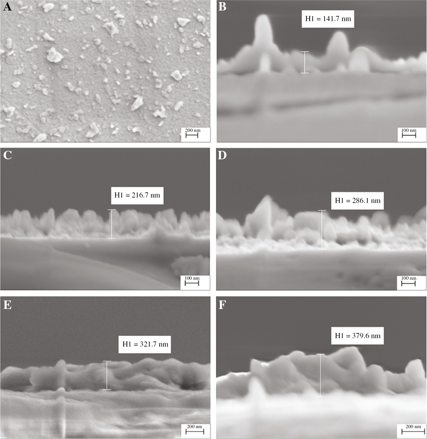 Figure 4: The scanning electron microscope (SEM) image of GeSe nanosheets.(A) The GeSe surface topography of the presented SPR sensor. SEM images of GeSe nanosheets cross section with different spin coating times for (B) one; (C) two; (D) three; (E) four; (F) five.
