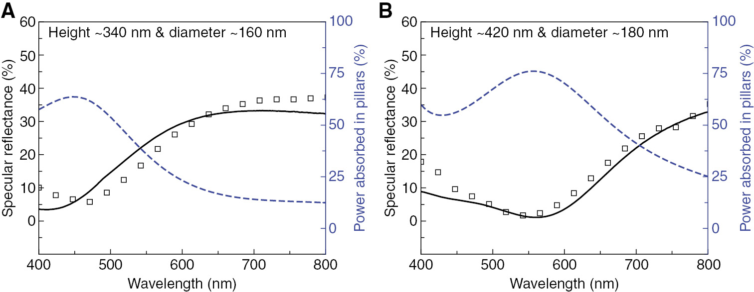 Figure 4: Relation between absorption spectral peak of an In/InP nanopillar and specular reflectance dip of DNPAs.The comparison between the specular spectral features (solid black lines are measured and square markers are simulated using supercell approximations) and power absorbed in the pillars (blue dashed lines obtained from periodic array simulations) for pillar diameters (A) ~160 nm and (B) ~180 nm. The results show that the specular spectral dips occur very close to the pillar absorption peaks.