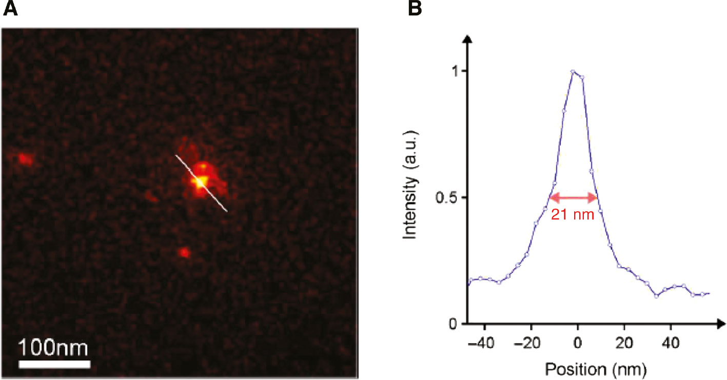 Figure 5: Spot containing about 8 NV centres.(A) STED microscopy scan of the spot of NV centres created by implantation of 5 keV nitrogen ions through a reduced nano-hole. (B) Intensity profile corresponding to the line seen in (A). The optical resolution of the STED microscope is 10 nm. Reproduced with permission from Sébastien Pezzagna and Jan Meijer, High-Resolution Ion Implantation from keV to MeV, INTECH: (2012).