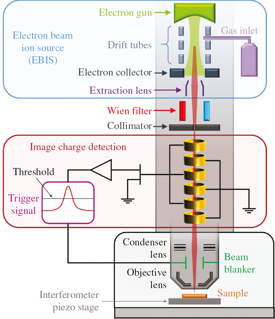 Figure 7: Concept for deterministic ion implantation: ions, coming from an EBIS, are separated by a Wien filter and collimator, before entering the image charge detector.The image charge signals, induced into the detection tubes, are amplified and measured, thus allowing the distinction of single ions. The connected beam blanker is controlled by the trigger signal allowing deflection of ions with unknown or unwanted properties, thus ensuring deterministic implantation of defined single ions. Reproduced with permission from T. Herzig et al. IEEE 2019, DOI: 10.1109/IIT.2018.8807909.