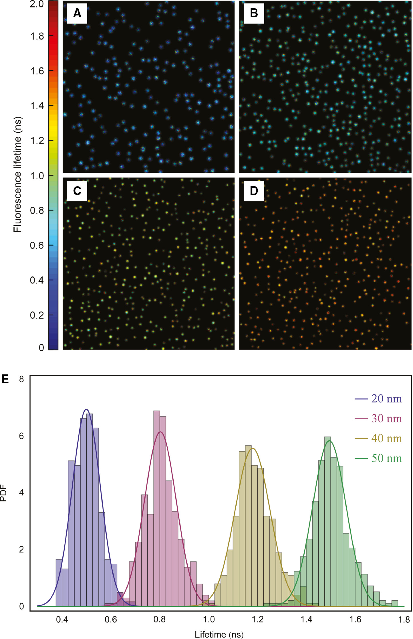 Figure 4: Single-molecule MIET of surface adsorbed fluorescent molecules.Lifetime images of single Atto 655 molecules (Atto-Tec) spin-coated on MIET substrates with (A) 20 nm, (B) 30 nm, (C) 40 nm, and (D) 50 nm SiO2 spacer thicknesses. Each image shows a sample area of 30 m×30 m. The color bar shows the color index for lifetime values in nanoseconds. (E) Lifetime distributions for the four samples. Data taken from [42].