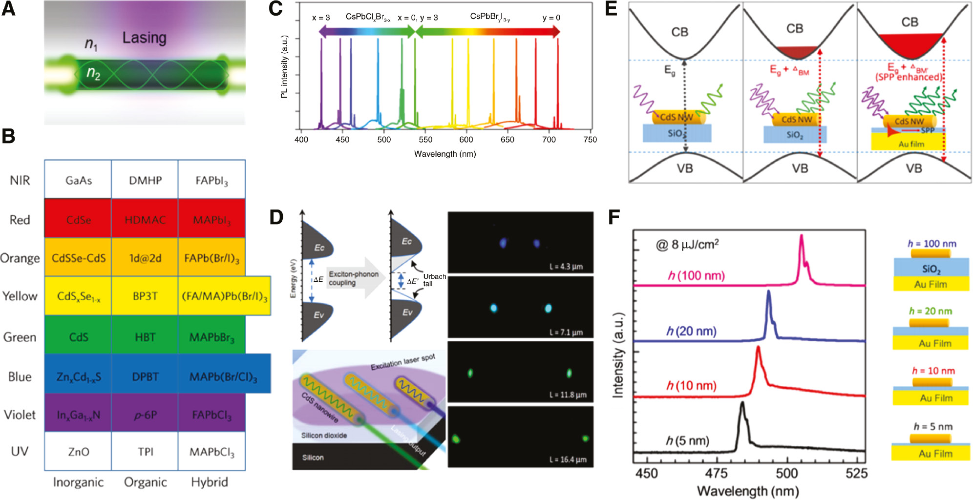 Figure 1: Semiconductor nanowire lasers.(A) Schematic of semiconductor NW laser. (B) Colorful lasing from UV to NIR in inorganic, organic, and hybrid semiconductor NWs. (C) Broad wavelength-tunable lasing from single-crystal perovskite NWs covering the visible region. Reproduced with permission [72]. Copyright 2016, American Chemical Society. (D) Left: schematic of the Urbach tails at the band edges caused by electron-phonon coupling and various output lasing colors in CdS NW/SiO2/Si device. Right: optical images of four individual CdS NW lasers with different lengths and colors owing to self-absorption. Reproduced with permission [73]. Copyright 2013, American Chemical Society. (E) Schematic of the three effects on the bandgap energy of undoped semiconductor NWs: without the BM effect, with the BM effect, and the SPP-enhanced BM effect. (F) The lasing peaks of four devices and their illustrations under the same pump fluence. Reproduced with permission [74]. Copyright 2013, American Chemical Society.
